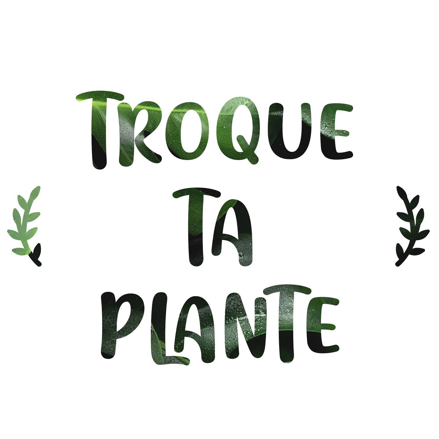 Troque Ta Plante – Le Blog
