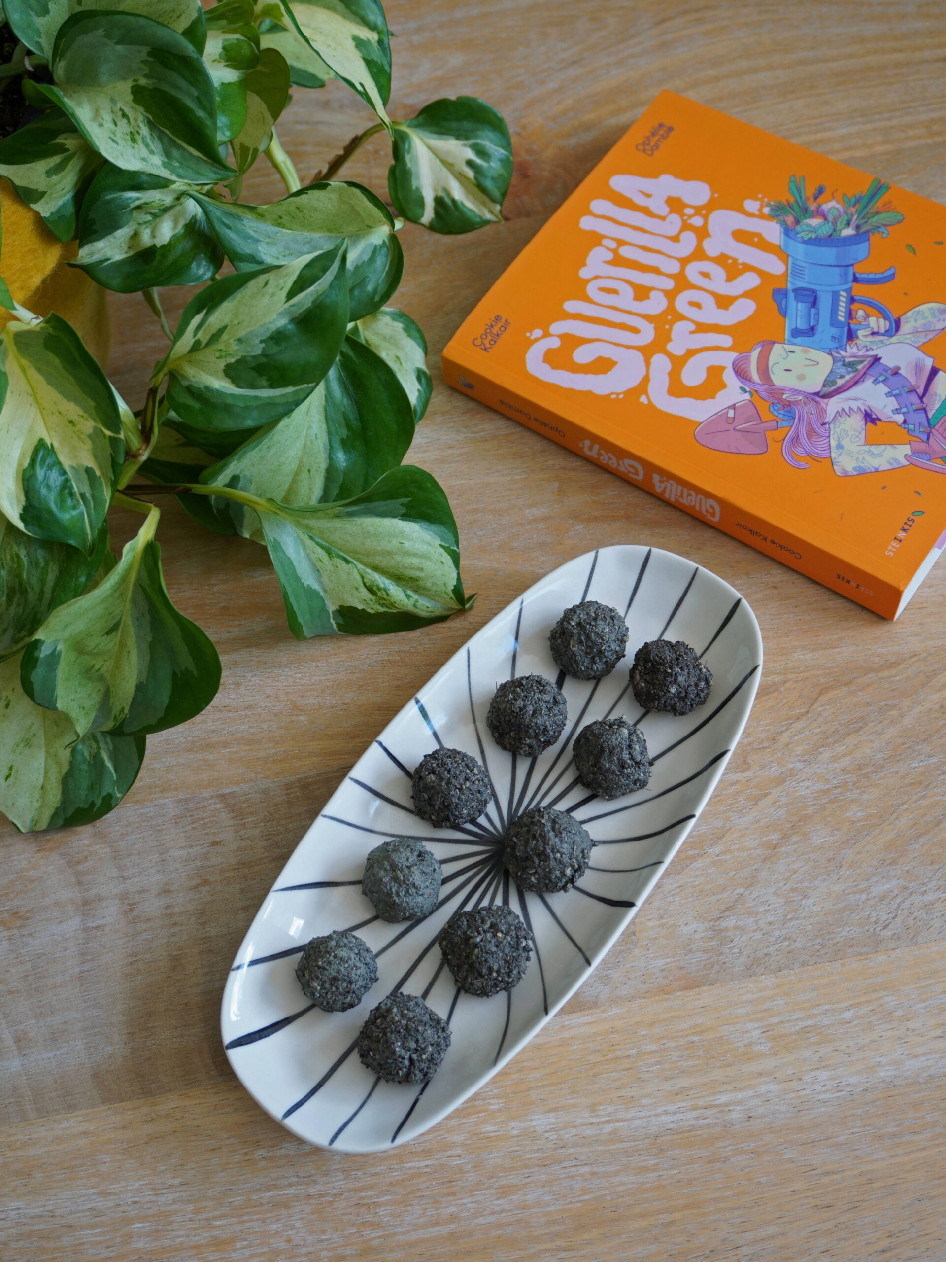 Tuto fabrication bombes de graines maison