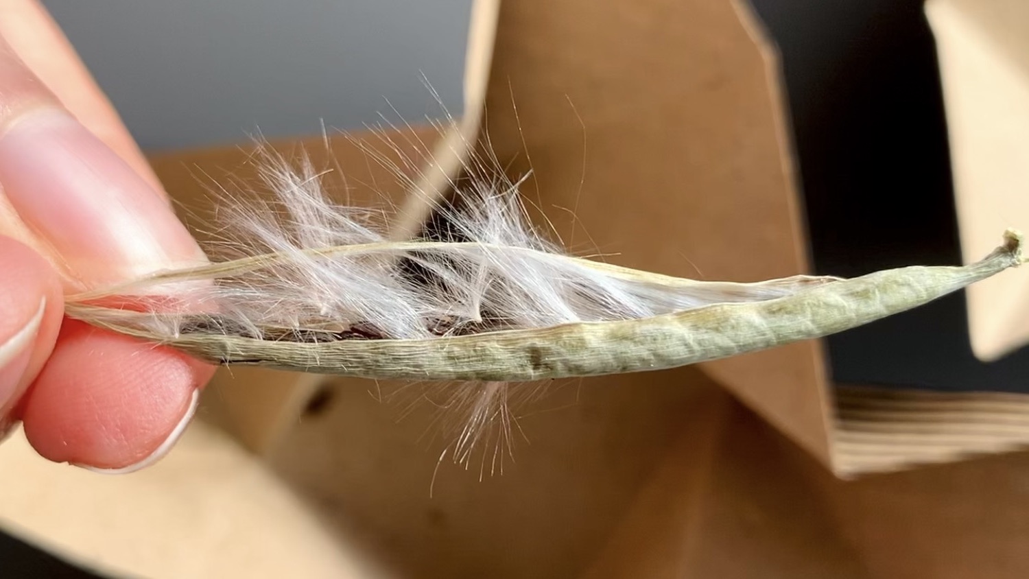 Semer des graines de chaîne de cœurs