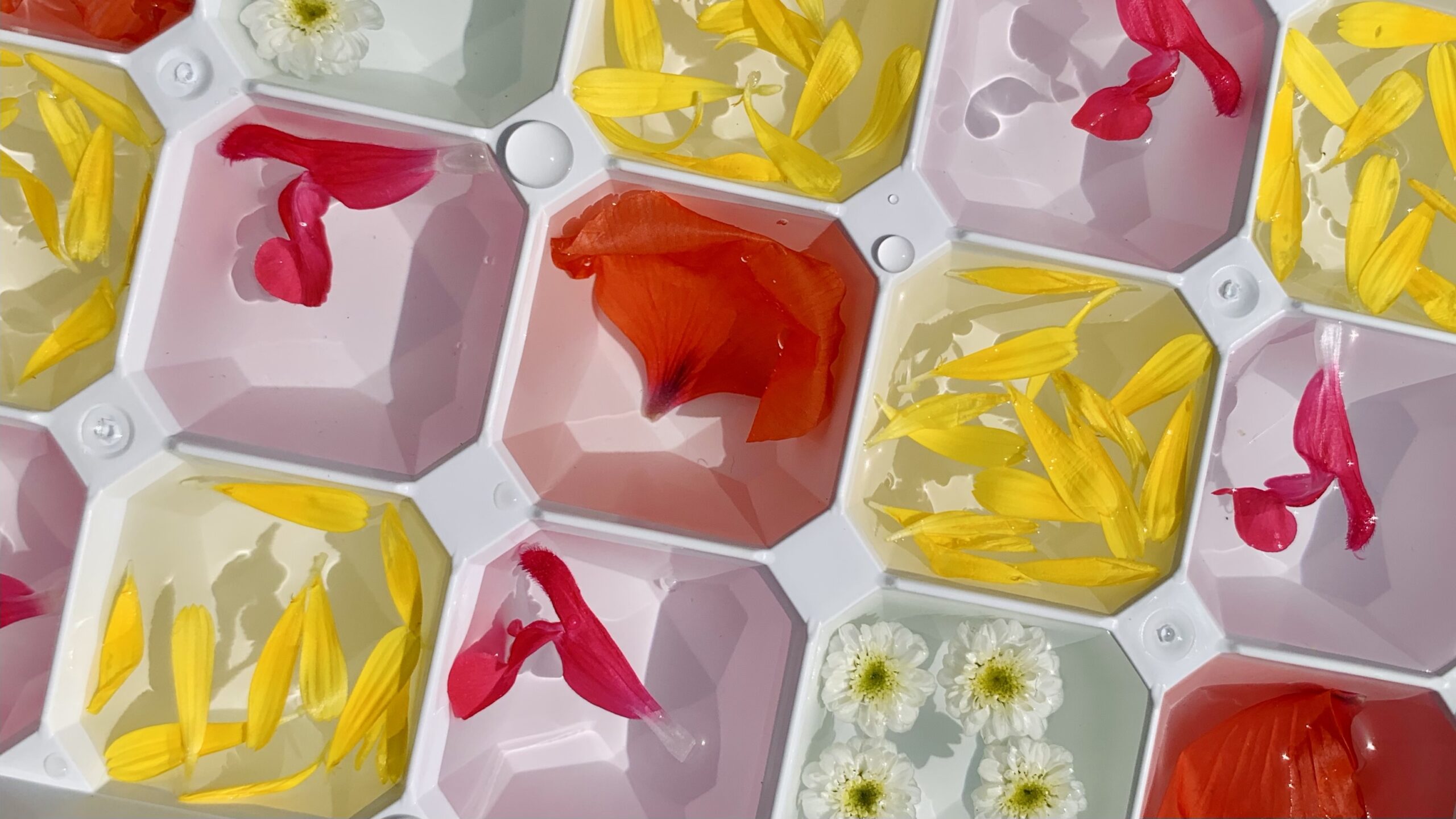 Créer des glaçons fleuris