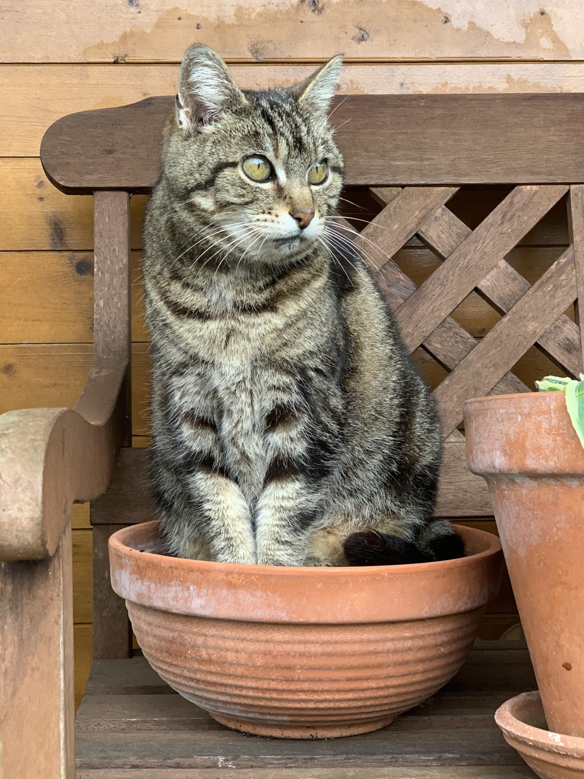 Cohabitation plantes et animaux
