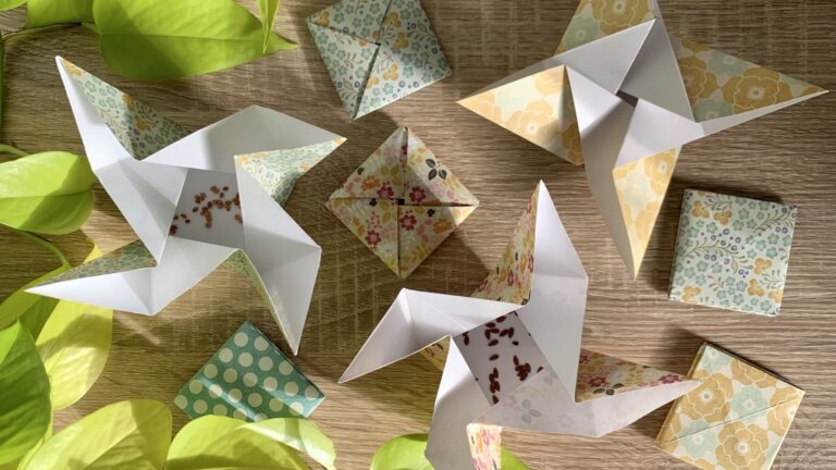 Couverture DIY sachets graines