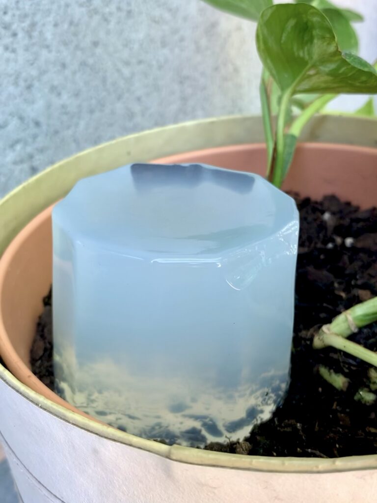 Gel d'arrosage pour arroser les plantes pendant les vacances