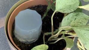 Préparer du gel d’arrosage maison pour vos plantes