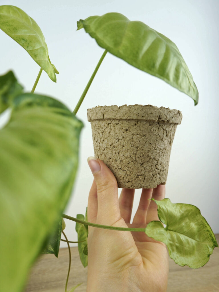 Comment fabriquer des pots à semis biodégradables DIY