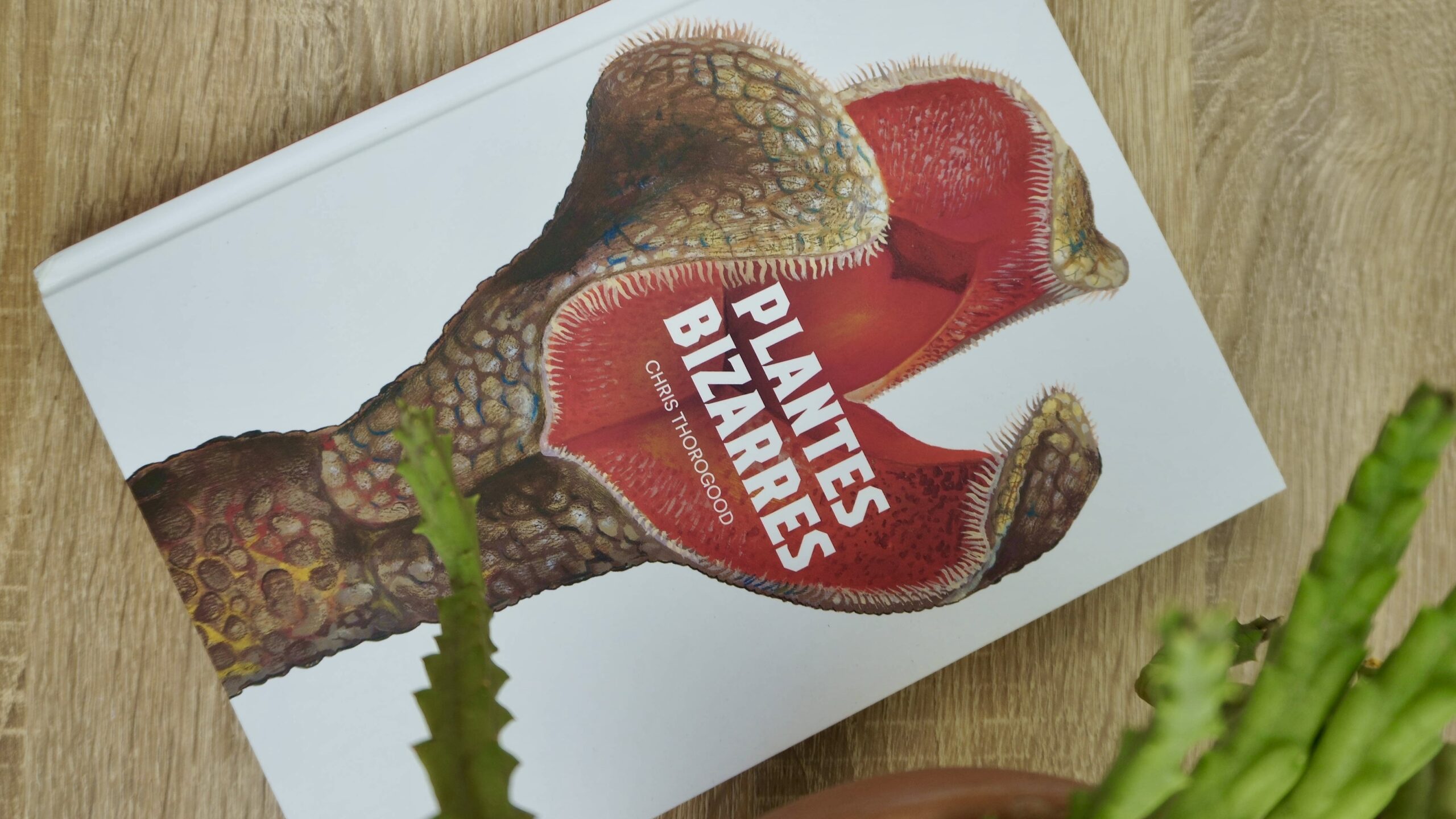 4 livres passionnants à découvrir sur les plantes