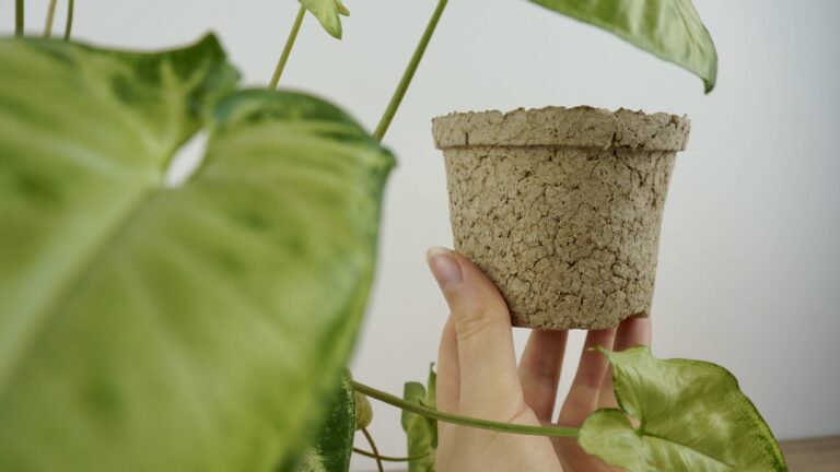 Couverture pots biodégradables