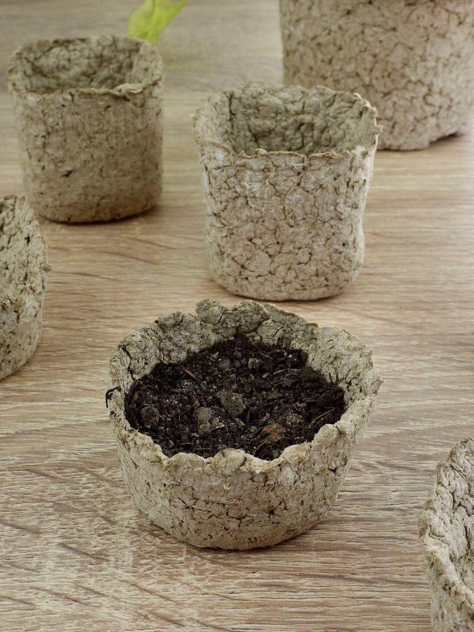 100 Pots Biodégradables 8cm + 10 étiquettes - Jardinage écologique Semis