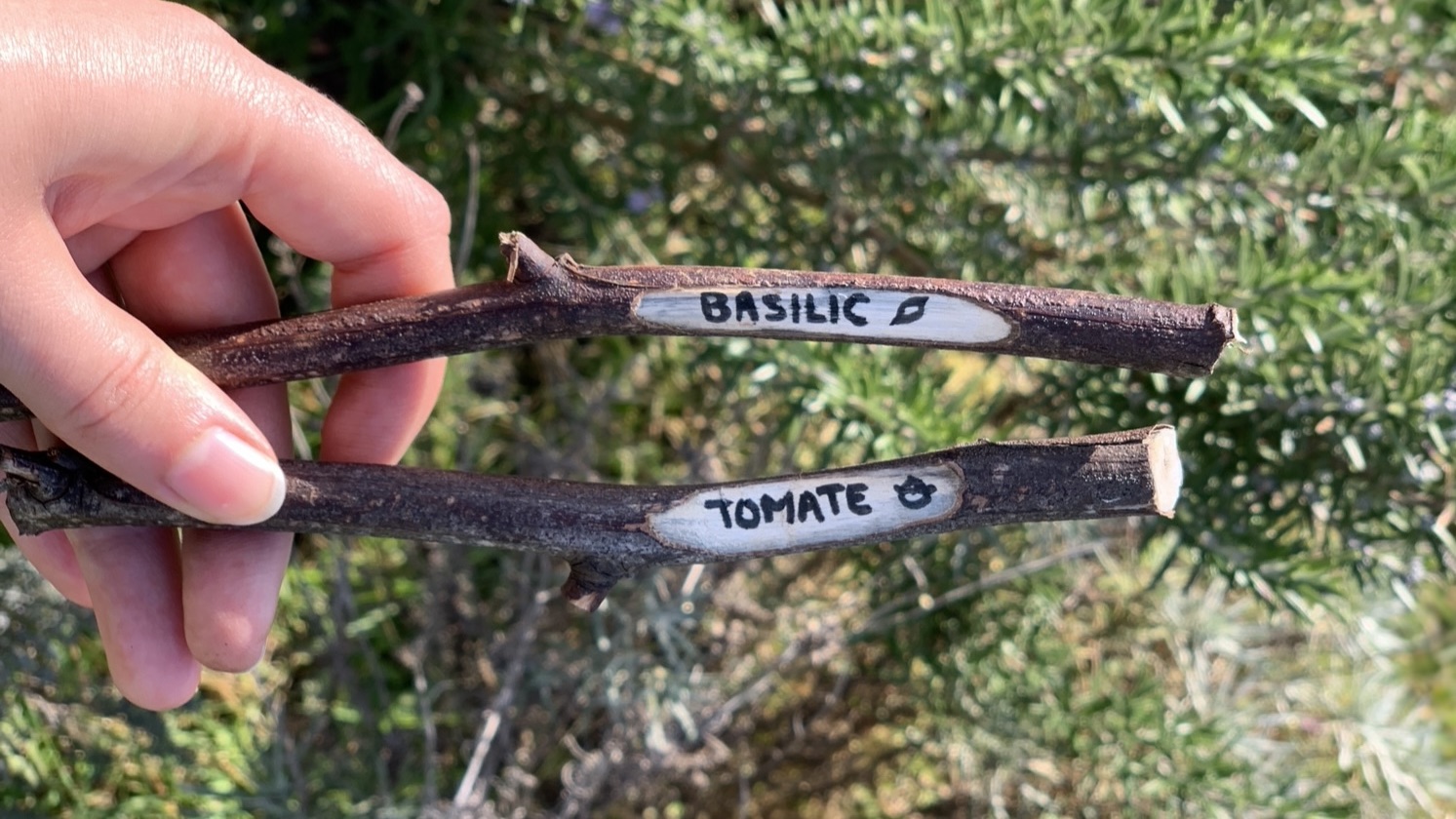 Fabriquer des étiquettes pour vos semis : 10 idées 100% récup