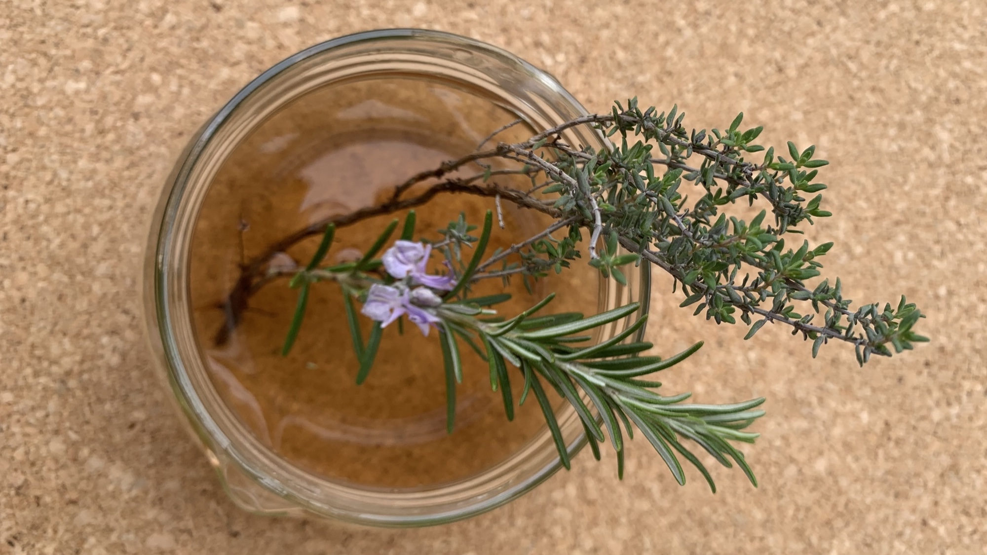 Préparer de l’eau de ronce, une hormone de bouturage naturelle