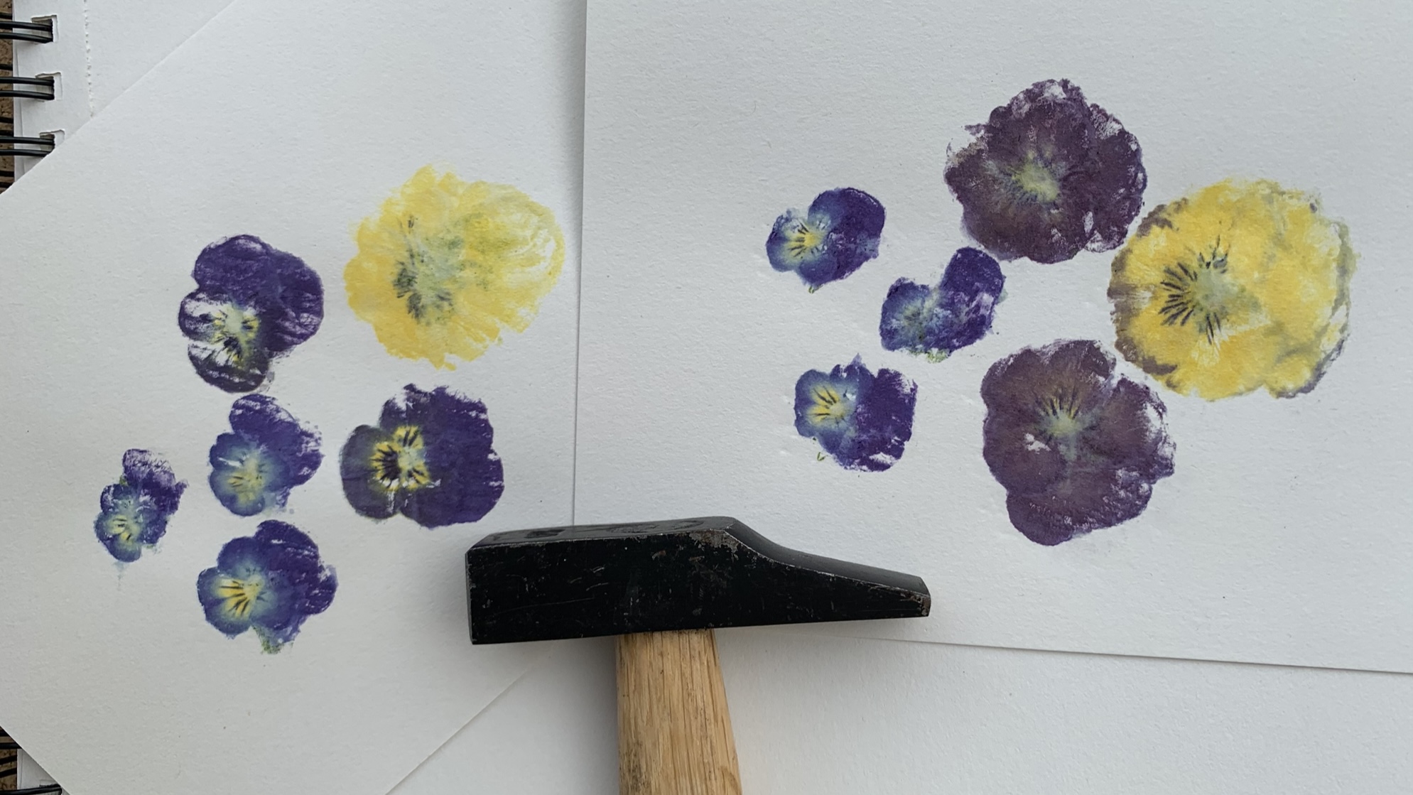 Réaliser des impressions végétales avec le tataki zomé