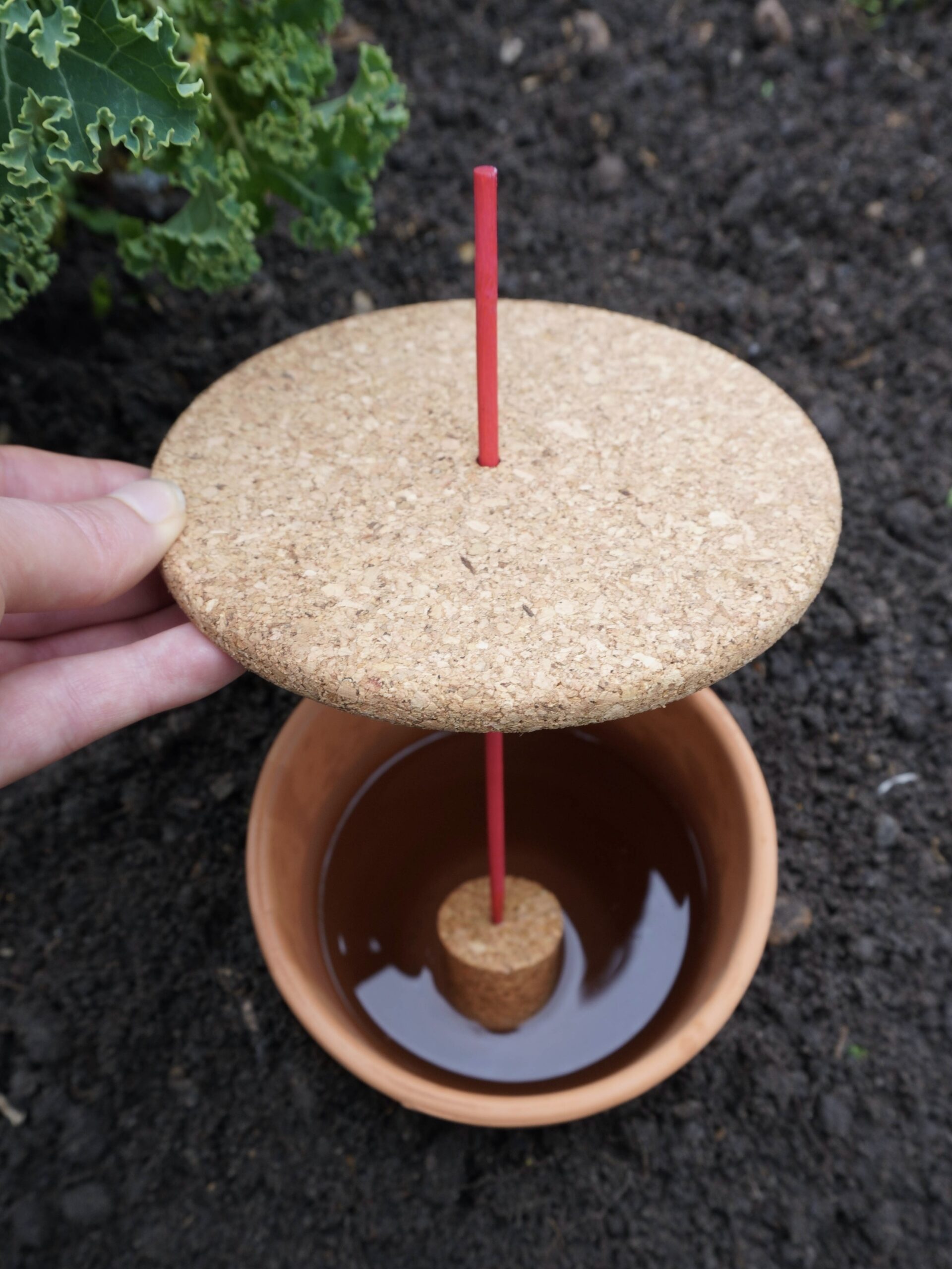 Guirland-Oyas, l'invention d'ollas en terre cuite reliées entre elles pour  économiser l'eau d'arrosage - NeozOne