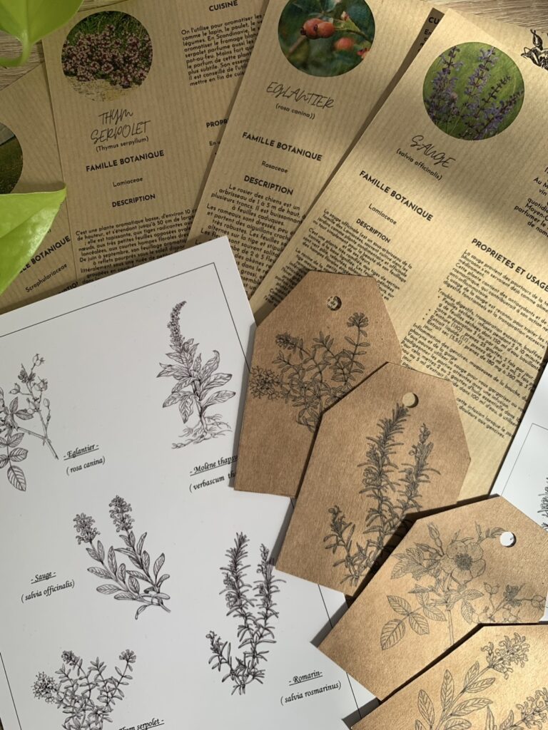 Reveries vegetales box