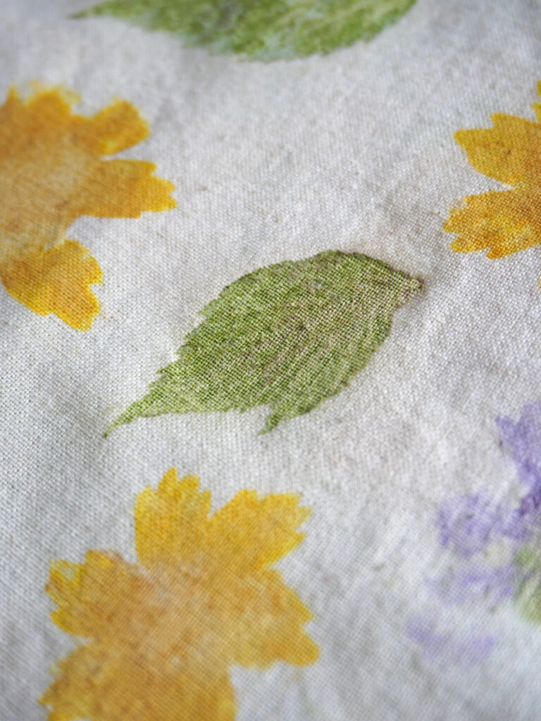 Empreinte feuille framboisier