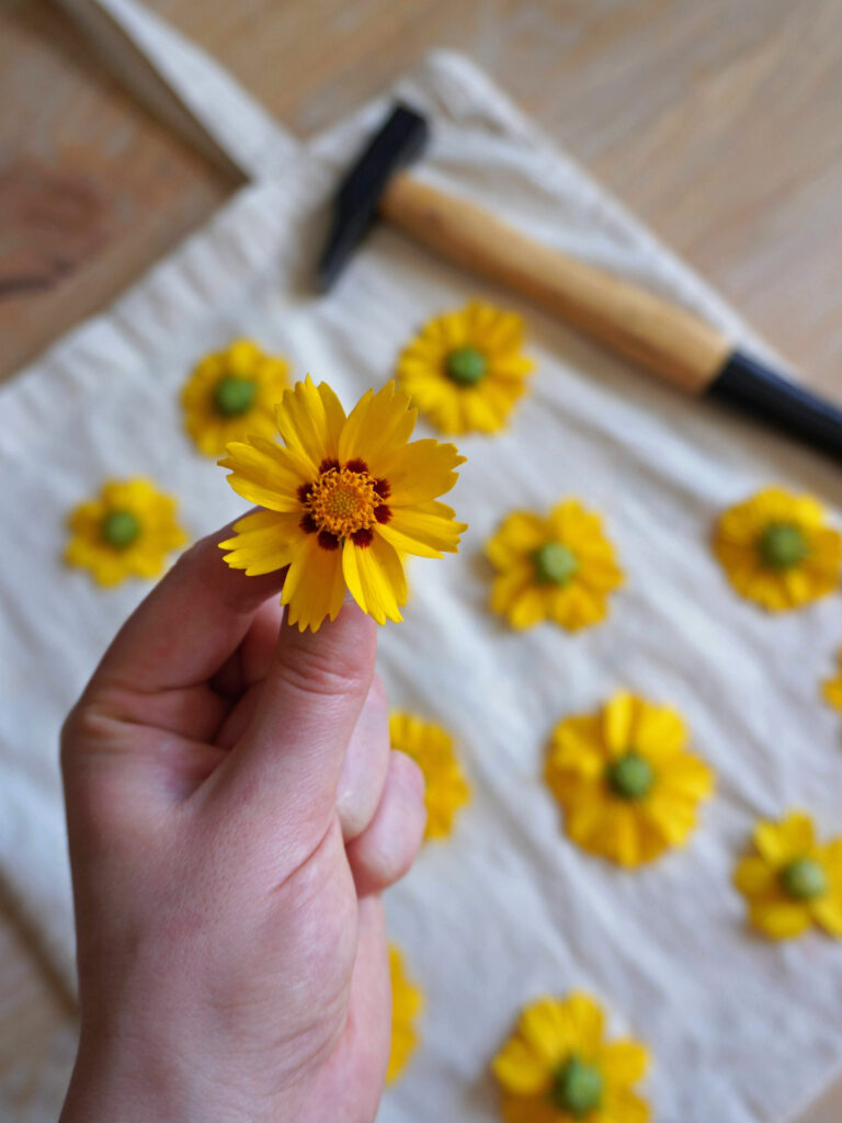 Quelles fleurs choisir pour le tataki zomé