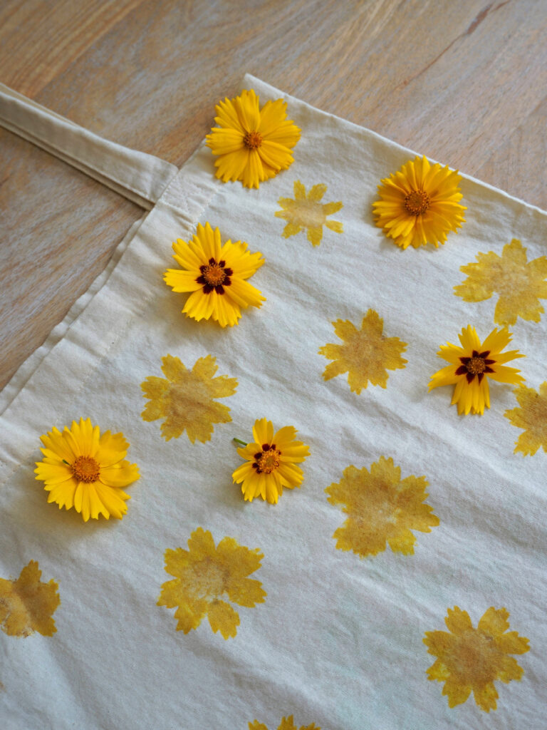 Martelage de fleurs tataki zomé