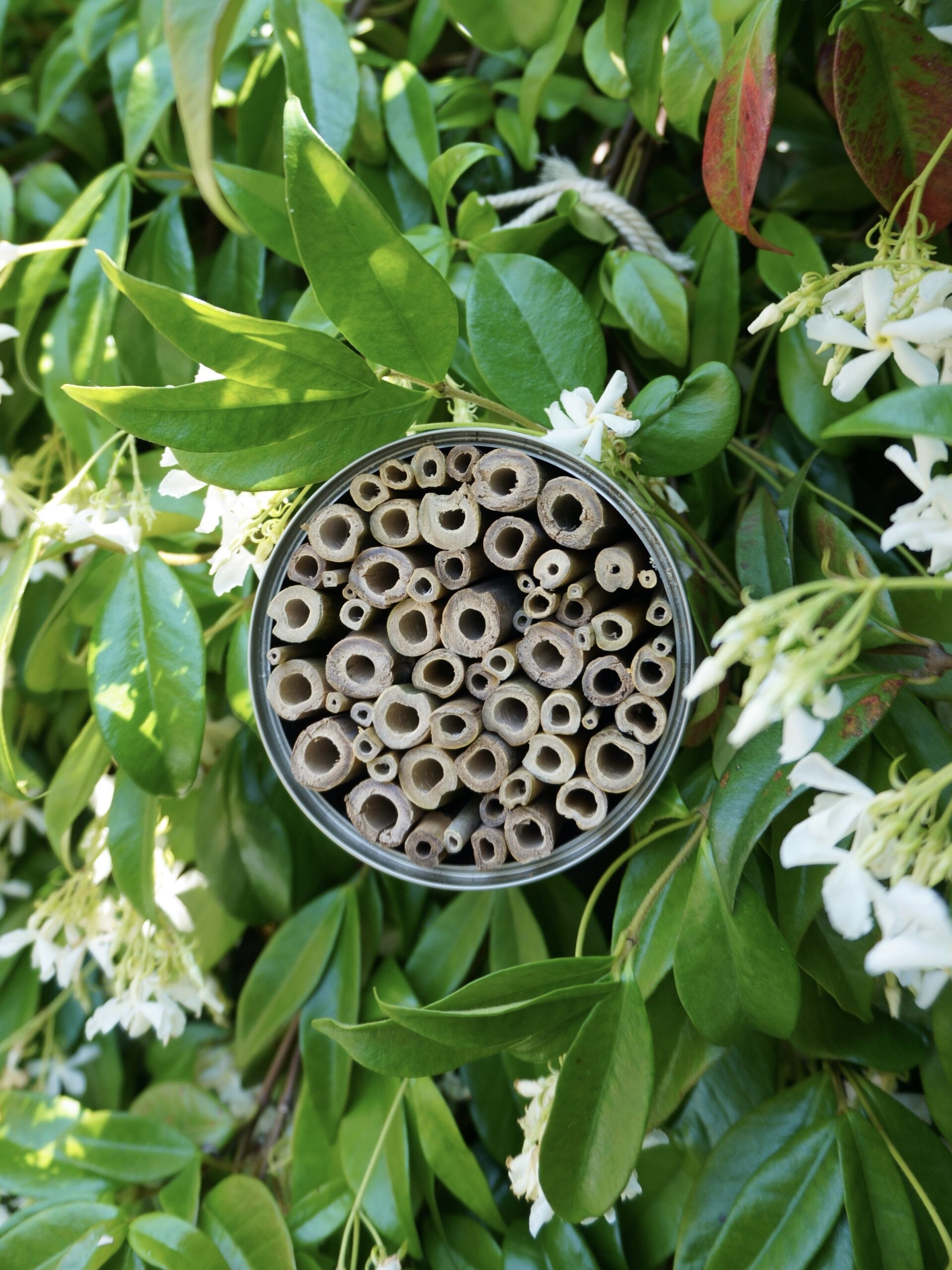 Matériel pour abri à abeilles DIY