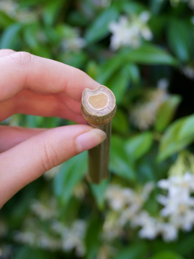 DIY fabriquer maison abeilles solitaires