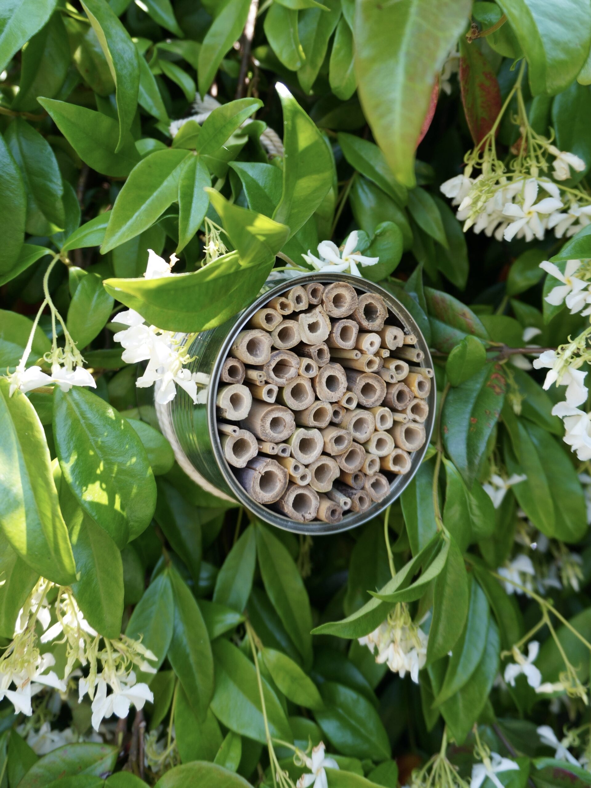 Matériel pour construire un nichoir à abeilles