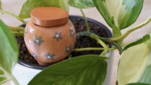 Des ollas originaux pour arroser vos plantes