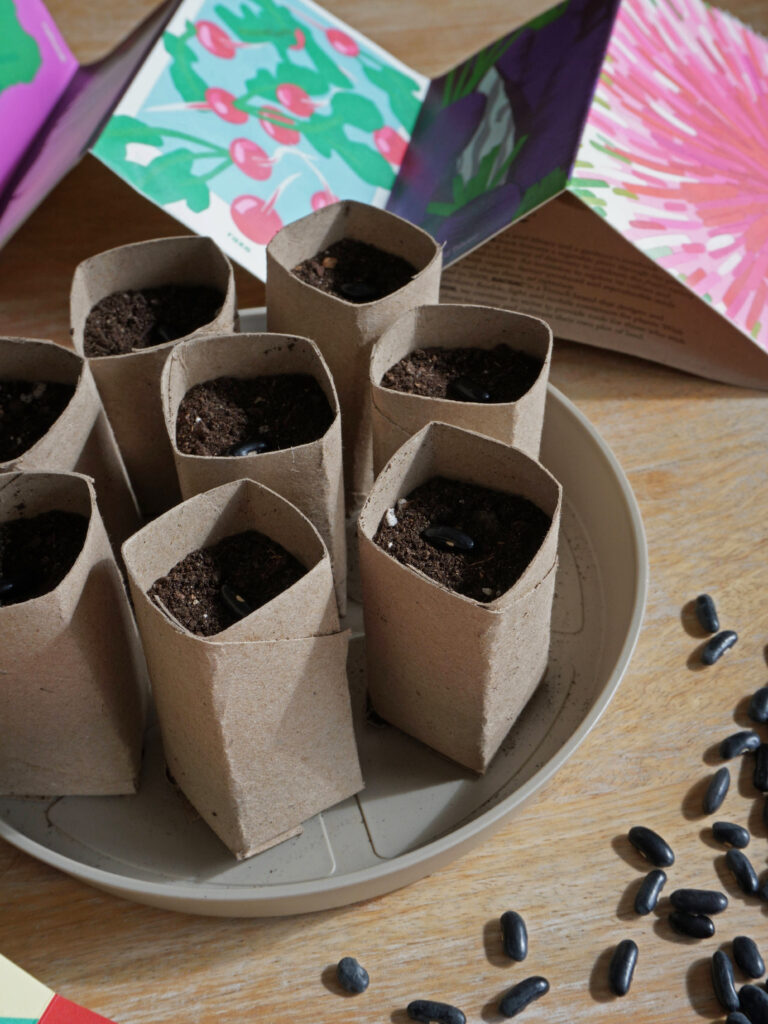 Comment fabriquer des pots à semis DIY avec des rouleaux de papier toilette