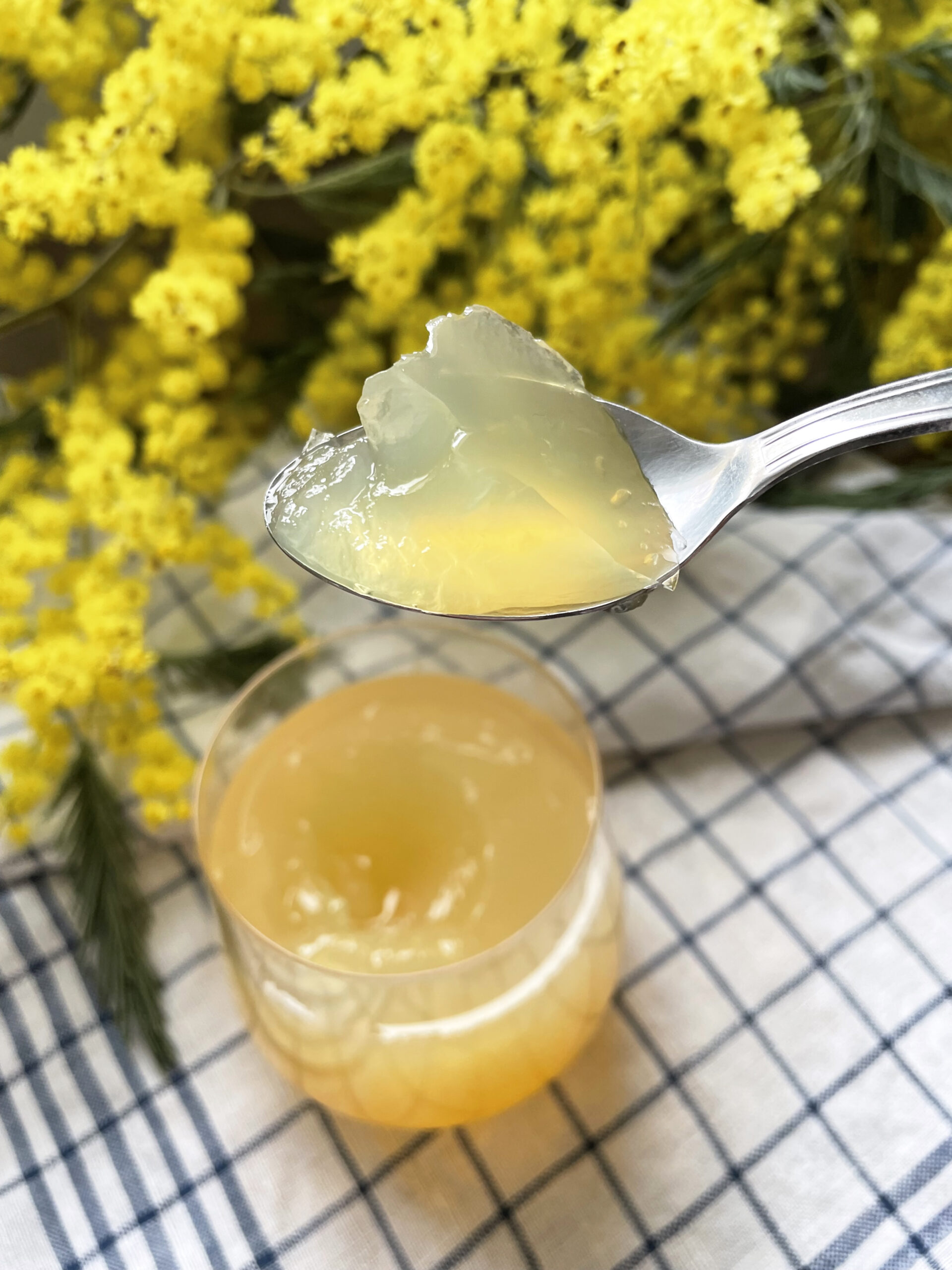 Recette de cuisine gelée de fleurs mimosa 