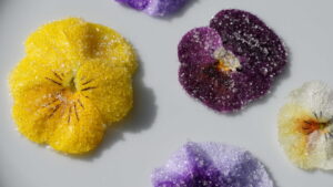 Recette de fleurs cristallisées