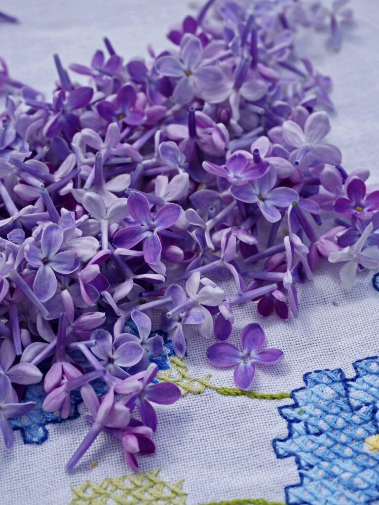 Recette de sucre parfumé aux fleurs de lilas