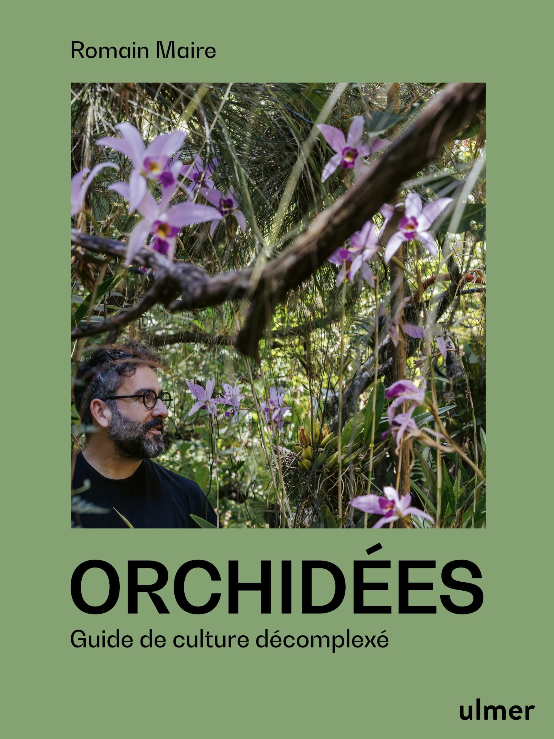 Orchidées : Guide de culture décomplexé