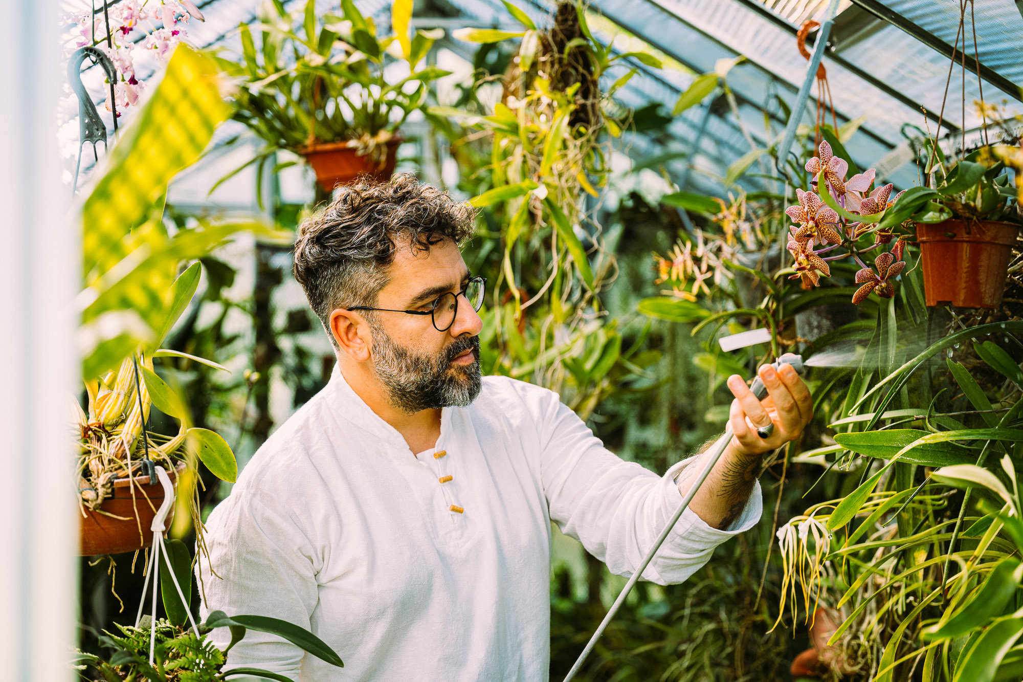 Romain Maire, un passionné d'orchidées