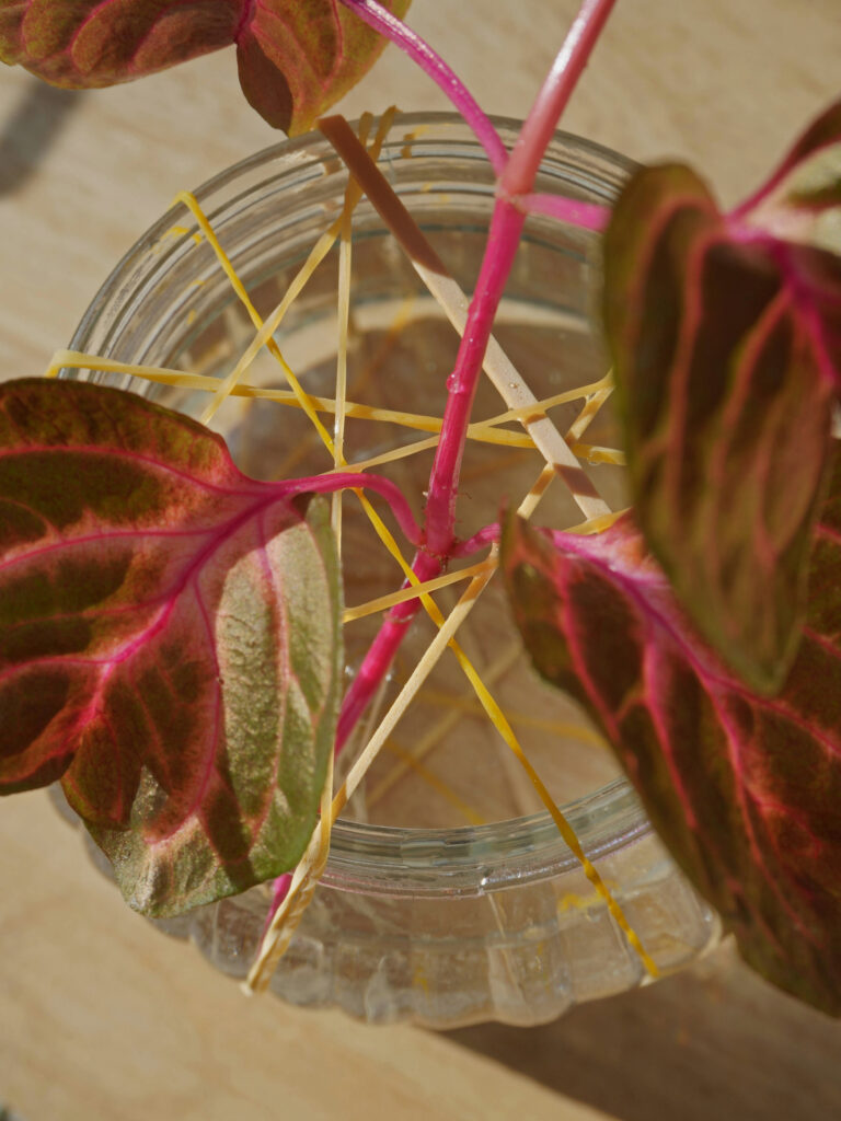 DIY : créer une bobèche avec des élastiques