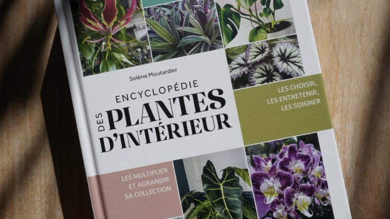 Sélection spéciale rentrée au jardin
