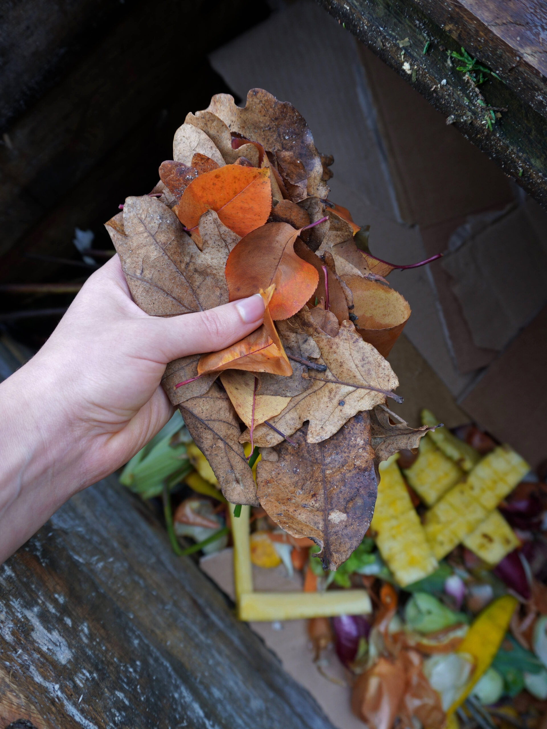 Ajouter des feuilles mortes au compost