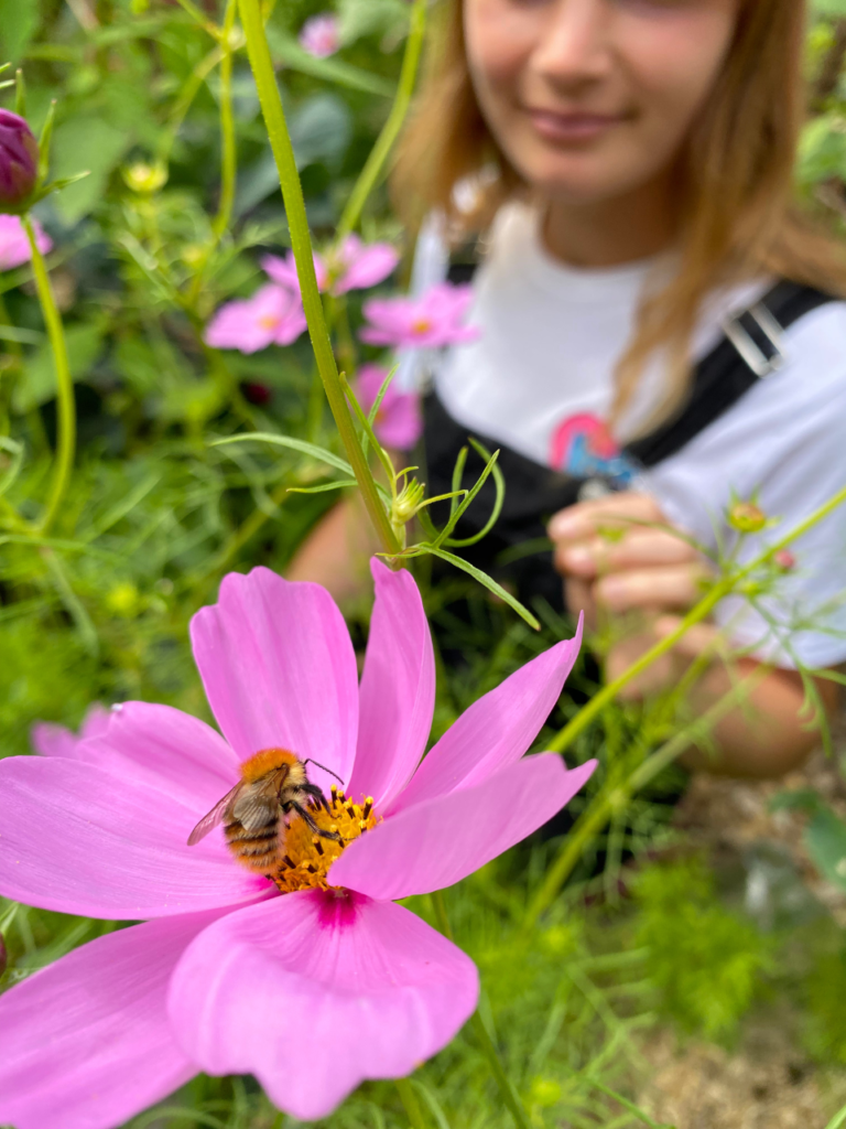 Comment cultiver un potager urbain