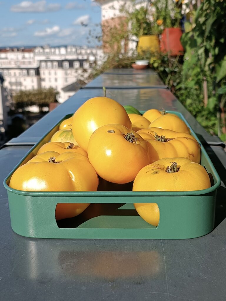 Faire pousser les légumes sur son balcon