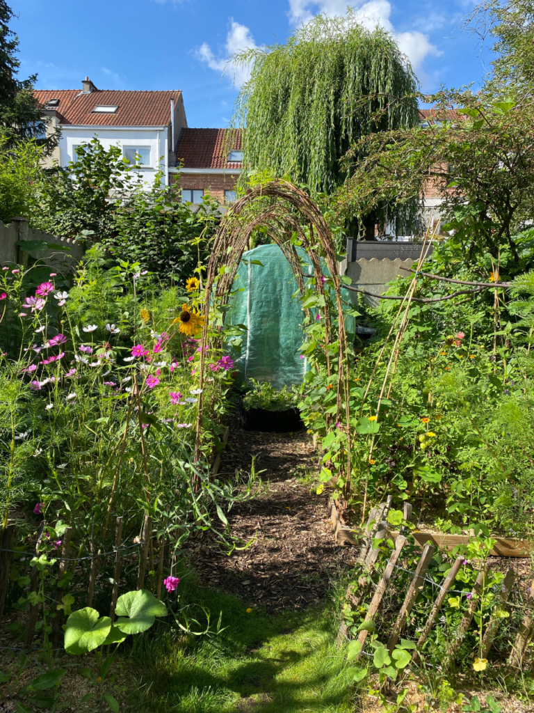 Son jardin potager en ville à Bruxelles