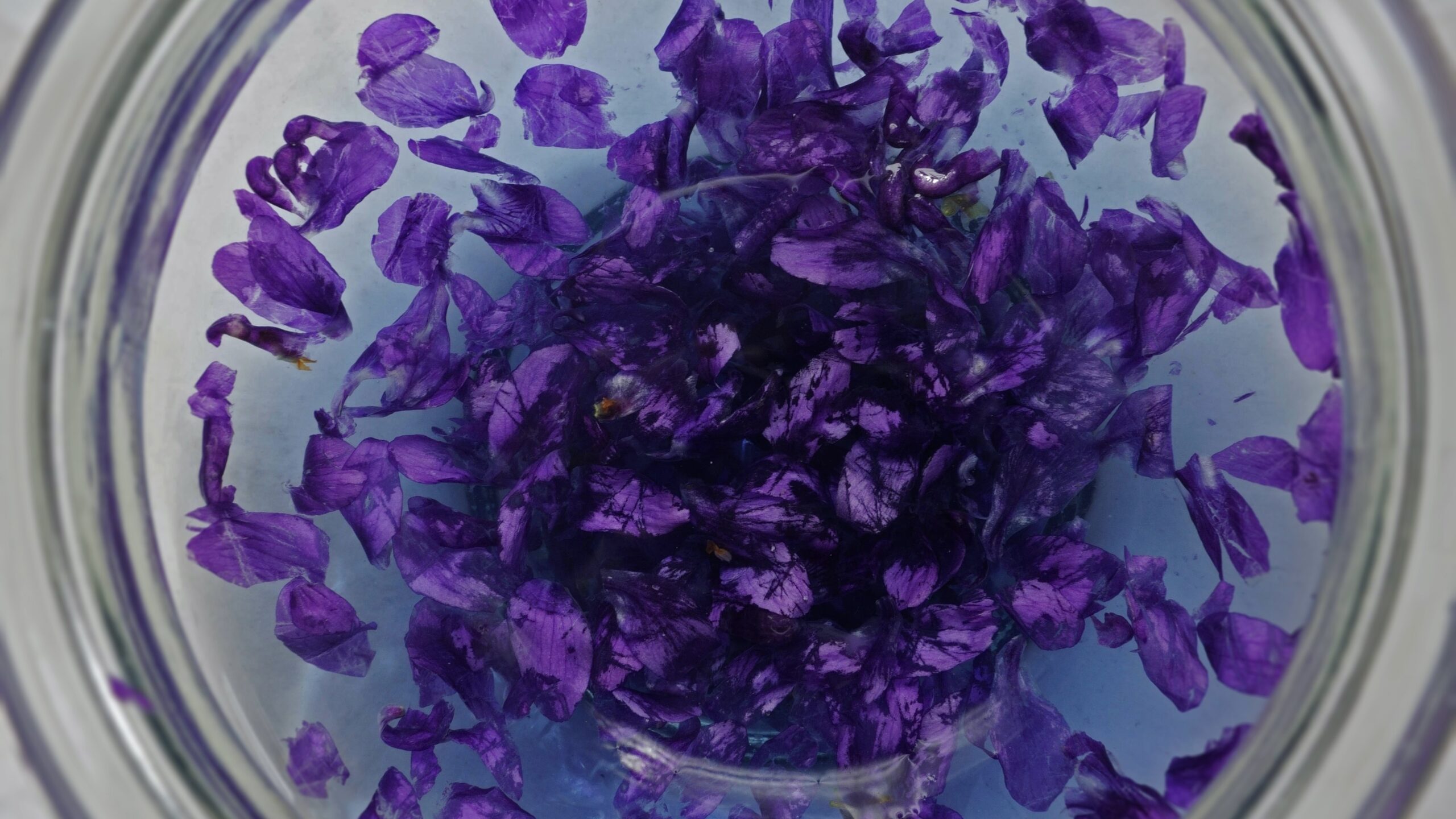 Recette de sirop de violettes