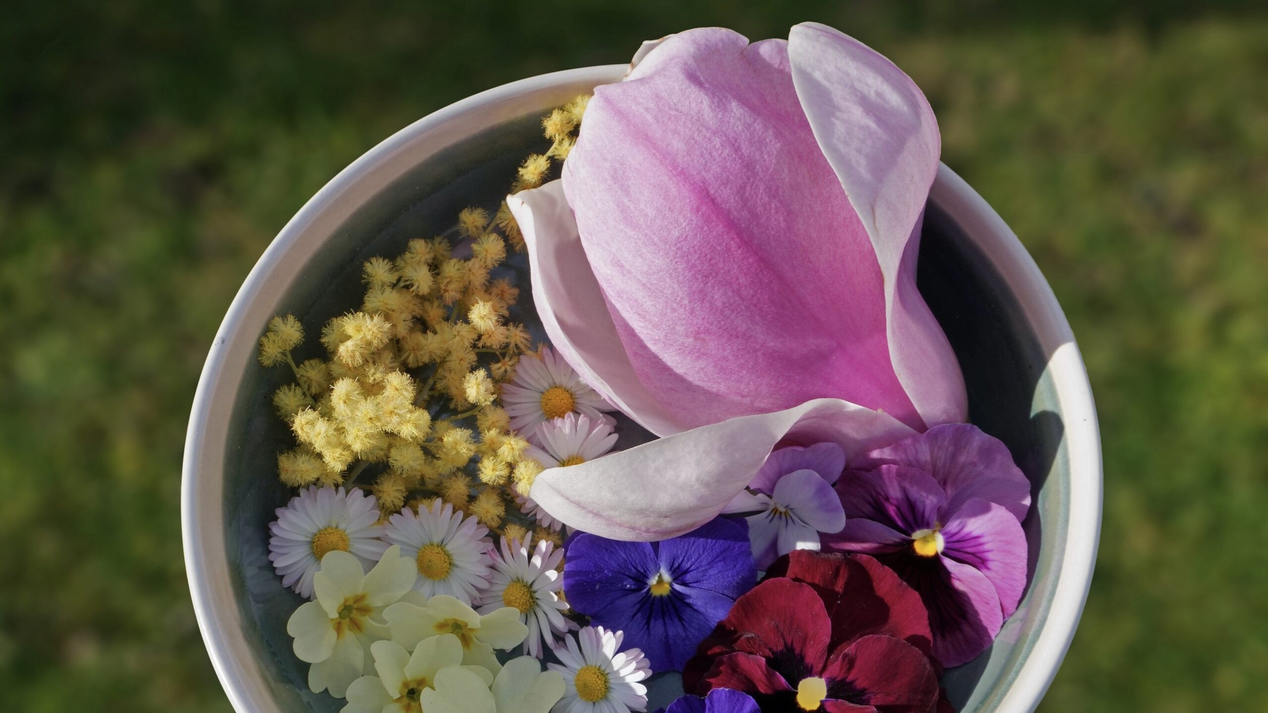 25 fleurs comestibles dans votre jardin