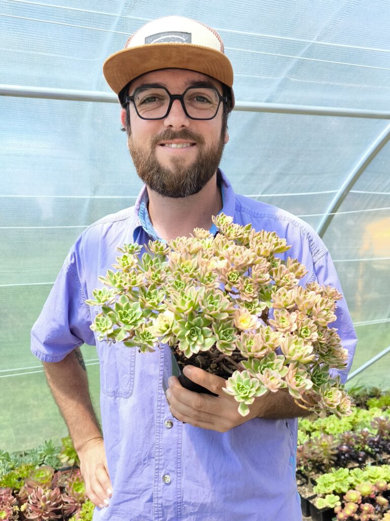 Florian producteur d'aeoniums Ker Plantenn