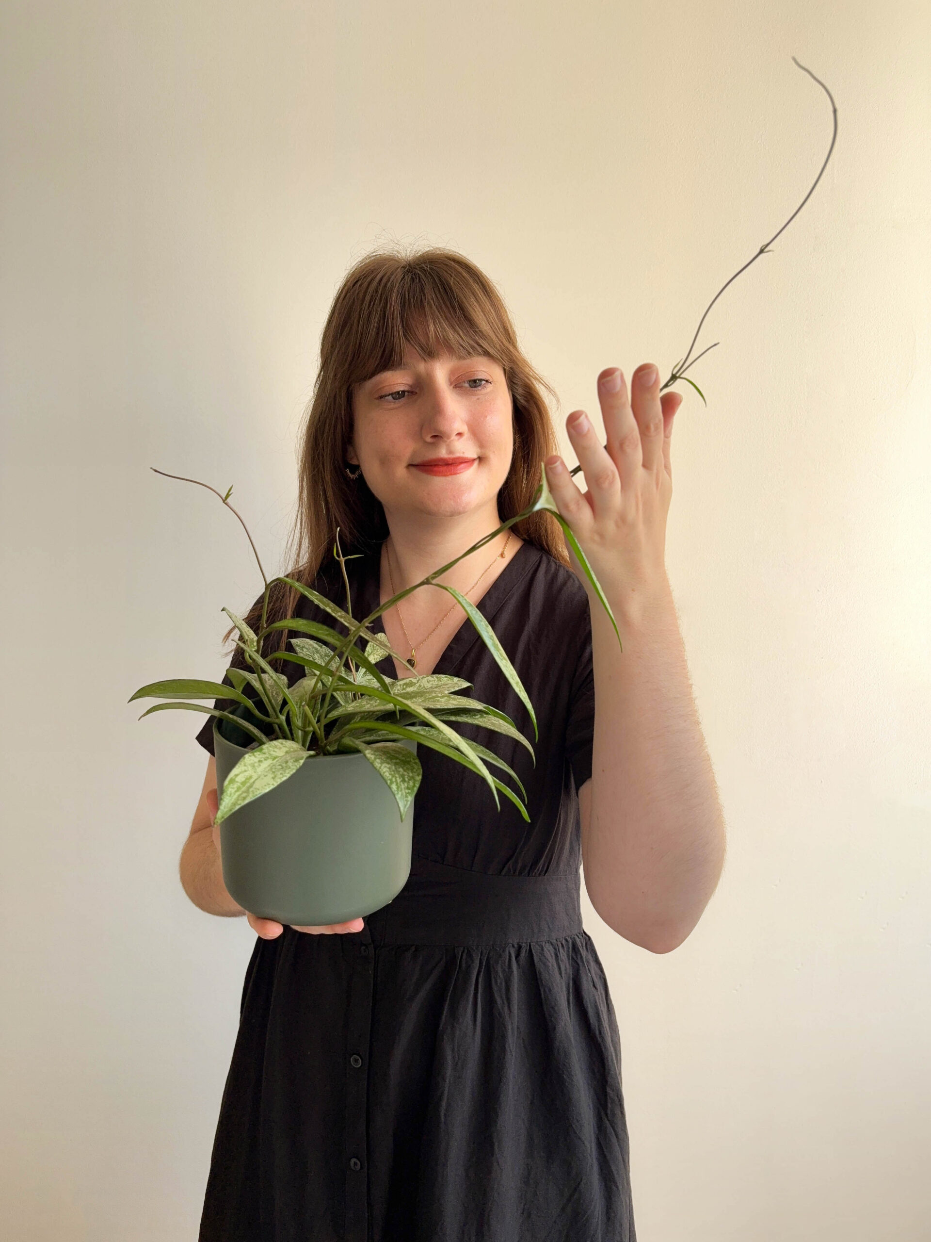 Gaëlle passionnée d'hoyas