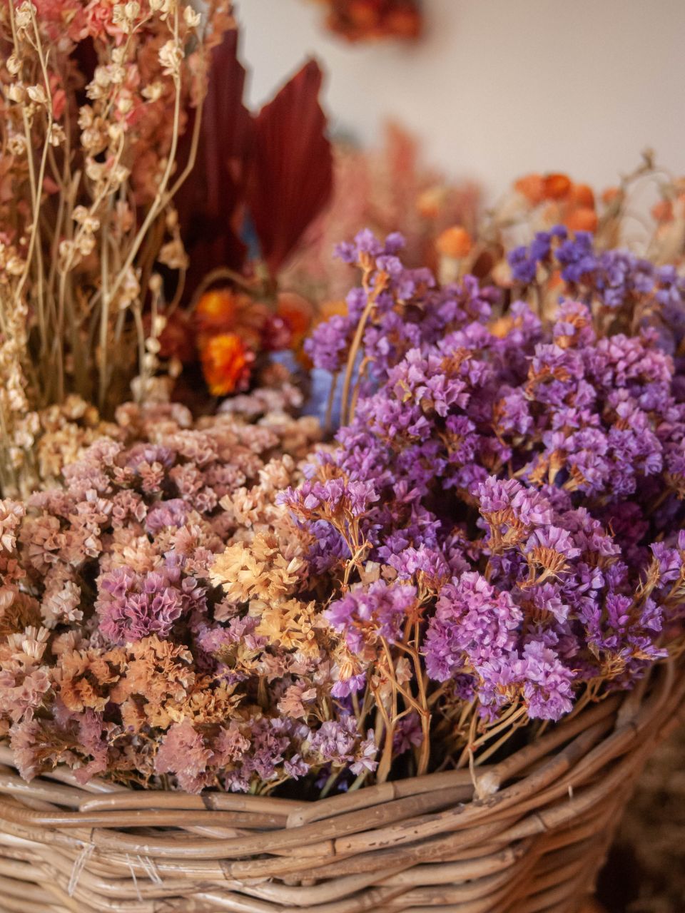 Comment conserver les fleurs séchées