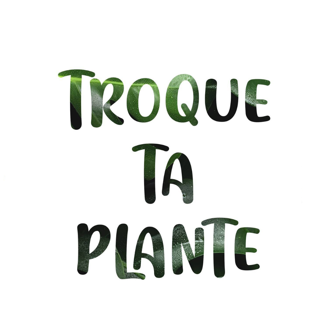 Troque Ta Plante – Le Blog