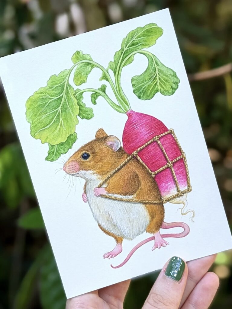 Illustrations Léa Chaillaud