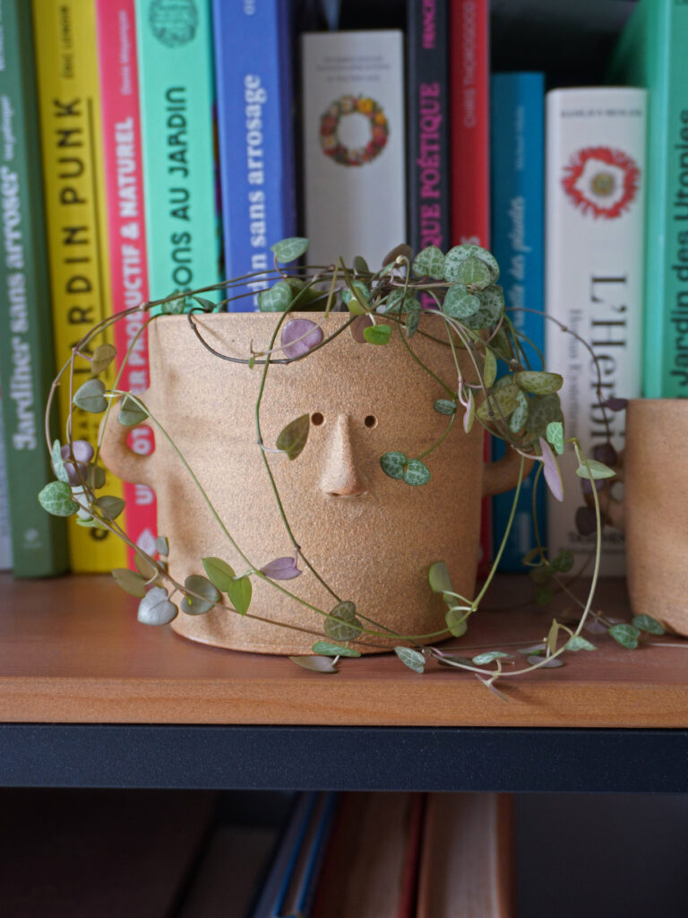 Comment trouver des plantes à petit budget