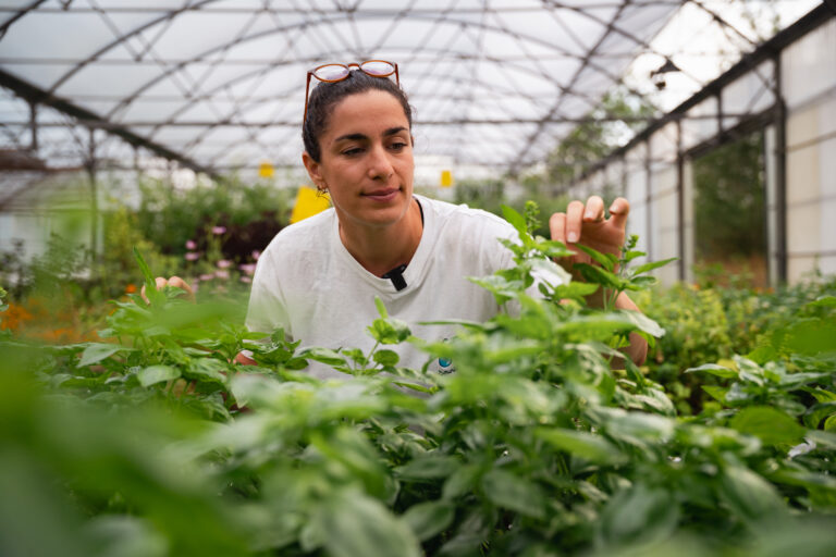 Tout savoir sur l’hydroponie avec Marion