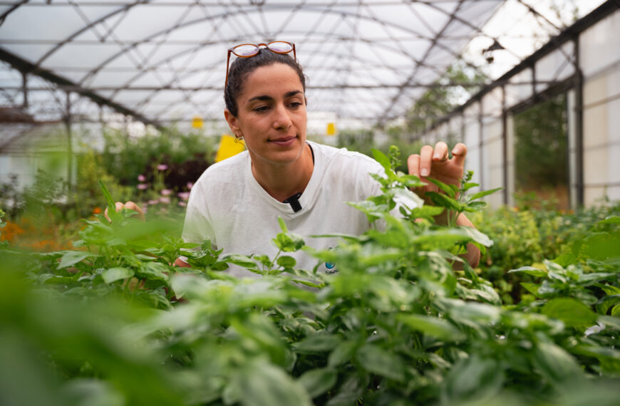 Tout savoir sur l’hydroponie avec Marion