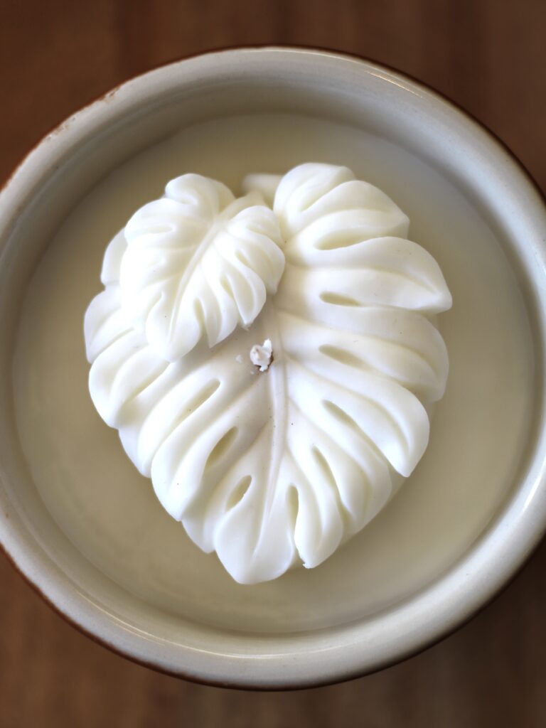 Bougie monstera Boutures Chipies & Cie