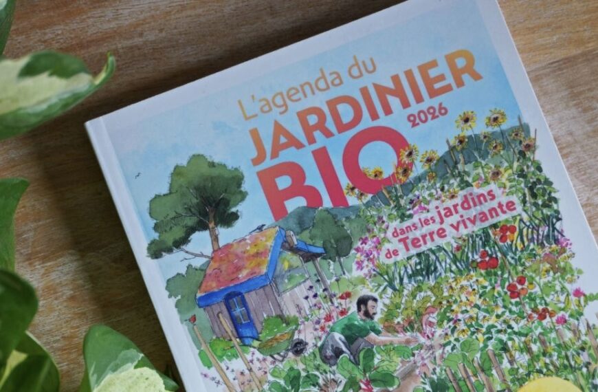 Sélection hivernale de créateurs (2026)