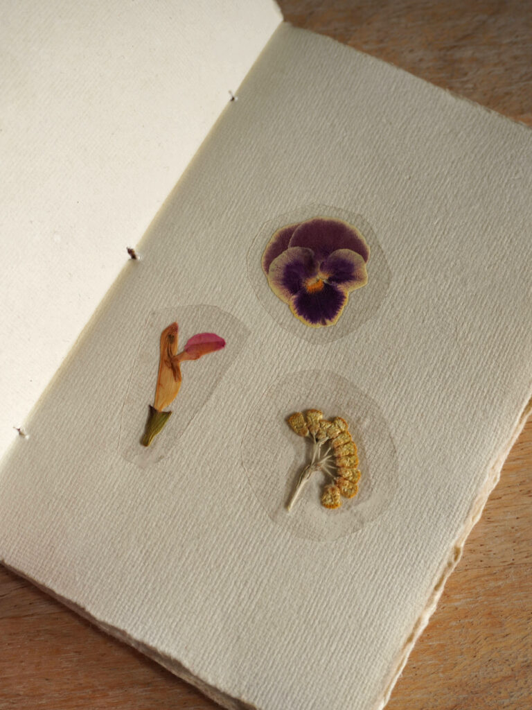 Créer des stickers de fleurs séchées DIY