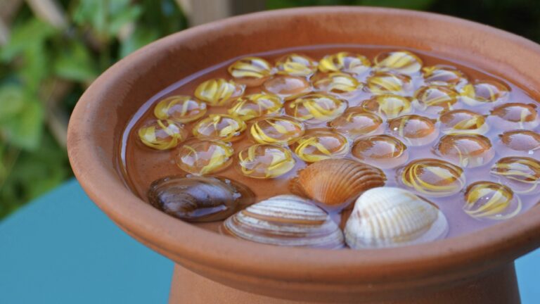 DIY – Fabriquer un abreuvoir à insectes